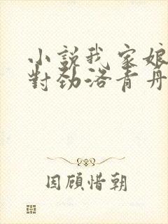 小说我家娘子不对劲洛青舟章节目录