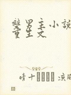 双男主小说推荐重生文