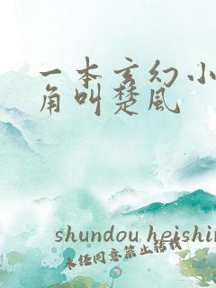 一本玄幻小说主角叫楚风