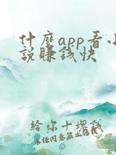 什么app看小说赚钱快