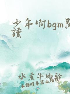 少年啊bgm阅读