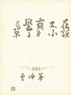 《学霸又在哄校草了》小说