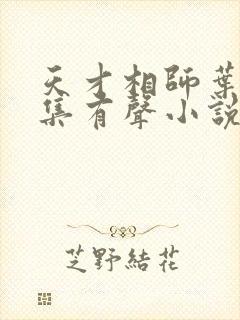 天才相师叶天全集有声小说