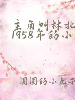 主角叫林北重生1958年的小说