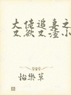 大佬追妻之夫人又欲又渣小说