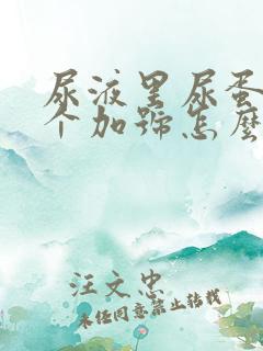 尿液里尿蛋白2个加号怎么回事