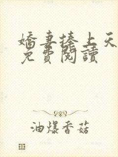 娇妻捧上天小说免费阅读