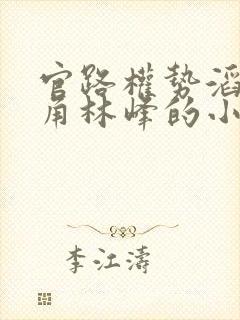 官路权势滔天主角林峰的小说全文阅读