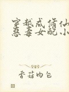 穿越成修仙文的恶毒女配小说