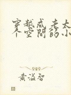 穿越成老太婆带个空间的小说