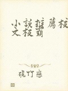 小说推荐校园甜文校霸