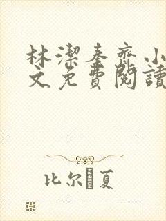 林洁秦齐小说全文免费阅读最新章节