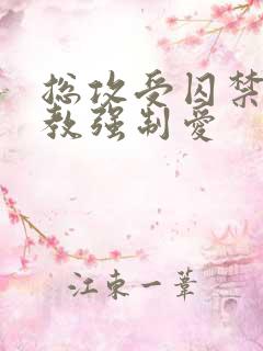 总攻受囚禁攻调教强制爱