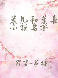 叶凡和叶长风的小说名字