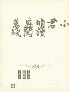 万历明君小说在线阅读