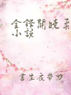 金锋关晓柔穿越小说