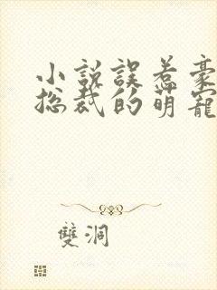 小说误惹豪门,总裁的萌宠新娘大结局