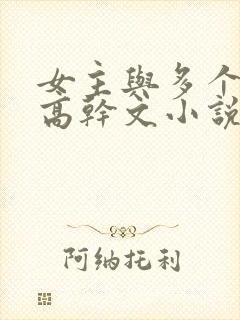 女主与多个男主高干文小说