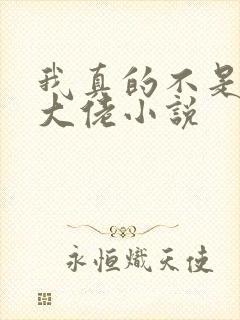 我真的不是女装大佬小说