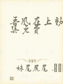 吾凰在上动漫全集免费