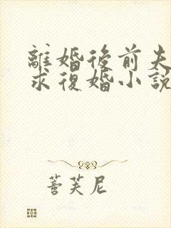 离婚后前夫哭着求复婚小说免费阅读全文