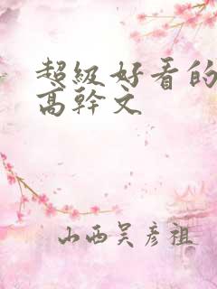 超级好看的小说高干文
