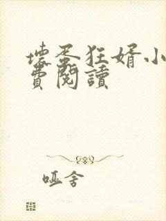 坏蛋狂婿小说免费阅读