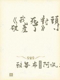 《我死对头终于破产了》 小说
