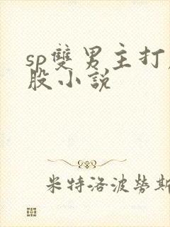 sp双男主打屁股小说