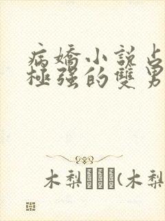 病娇小说占有欲极强的双男主