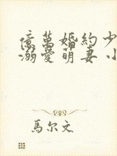 亿万婚约少主的溺爱萌妻 小说