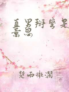 直男掰弯是什么意思