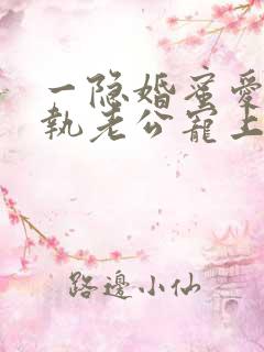 一隐婚蜜爱:偏执老公宠上瘾