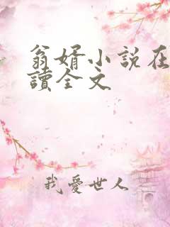 翁婿小说在线阅读全文