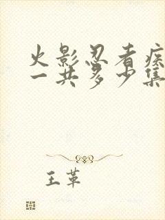 火影忍者疾风传一共多少集