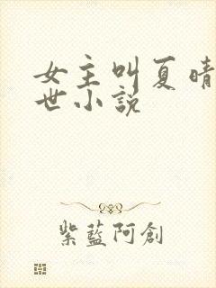 女主叫夏晴的末世小说