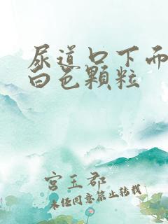 尿道口下面长了白色颗粒