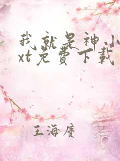 我就是神小说txt免费下载