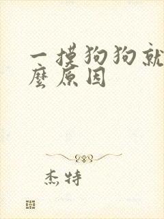 一摸狗狗就尿什么原因