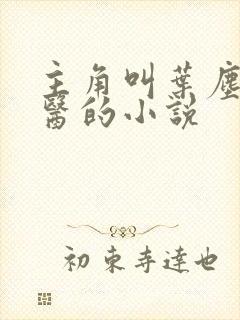 主角叫叶尘是神医的小说