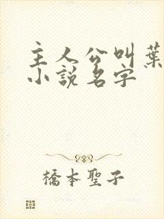 主人公叫叶帆的小说名字