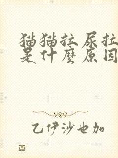 猫猫拉尿拉出血是什么原因