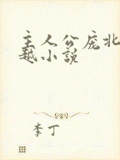 主人公庞北的穿越小说