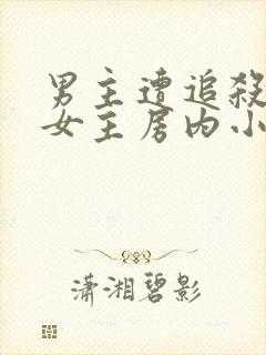 男主遭追杀躲进女主房内小说