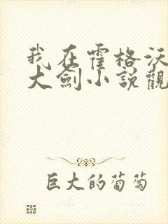 我在霍格沃茨抡大剑小说观看