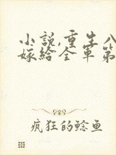 小说,重生八零嫁给全军第一硬汉