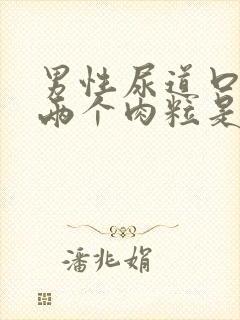 男性尿道口长了两个肉粒是怎么回事