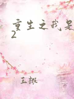 重生之我是王妈2