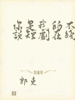 你是我的不可言说短剧在线观看