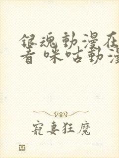 银魂动漫在线观看 咪咕动漫